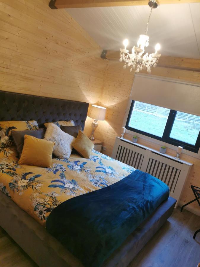 The Lodge Mountain View Log Cabin , Attymass Ballina Boyhollagh エクステリア 写真